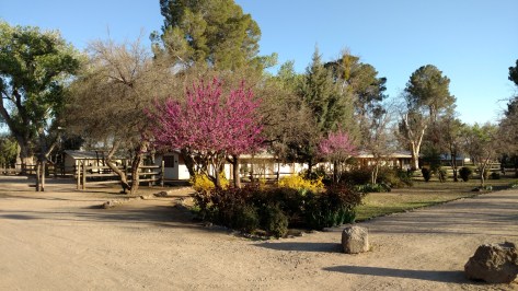 IMG_20160317_173514623