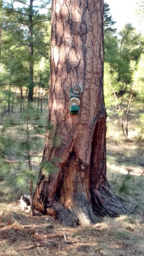 IMG_20160505_074824656_HDR