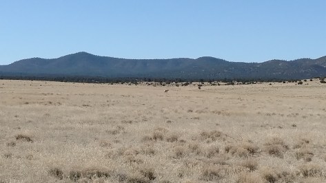 IMG_20160506_094403868