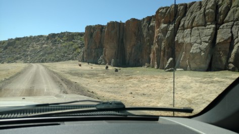 IMG_20160506_113743765_TOP