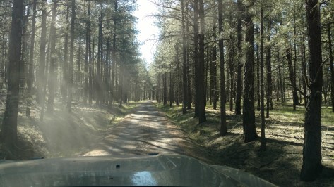 IMG_20160507_093145006_TOP