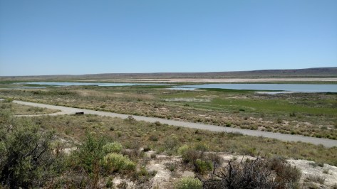 IMG_20160510_110534915