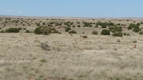 IMG_20160510_160608292_TOP