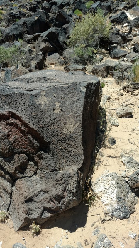 IMG_20160512_131412678