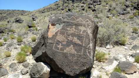 IMG_20160512_135150498