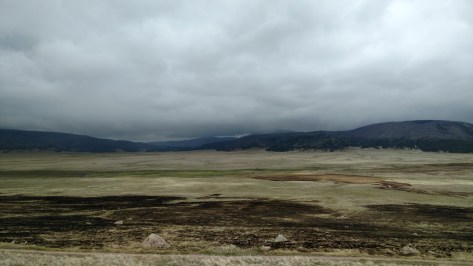 IMG_20160517_113646569