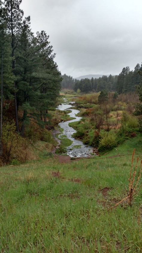 IMG_20160517_152441300_HDR