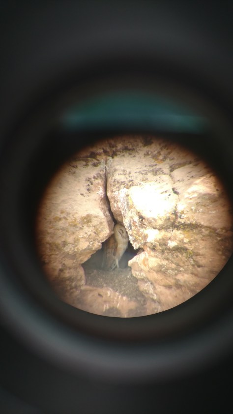 IMG_20160521_104123879