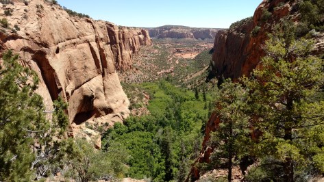 IMG_20160523_121508886