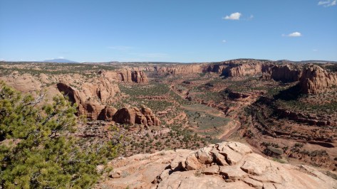 IMG_20160527_101221635