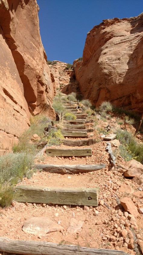 IMG_20160527_102703246