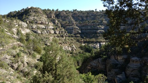 IMG_20160611_084132577