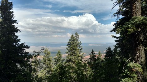 IMG_20160611_160111952_HDR