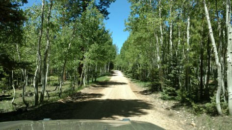 IMG_20160612_112110541