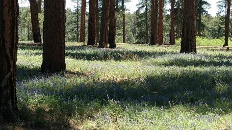 IMG_20160612_120419065