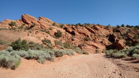 IMG_20160615_090643668