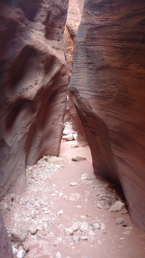 IMG_20160615_092641588