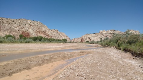 IMG_20160615_121342669