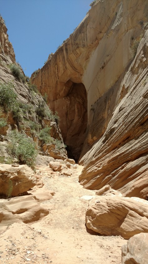 IMG_20160615_133905031