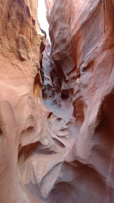 IMG_20160618_084514711