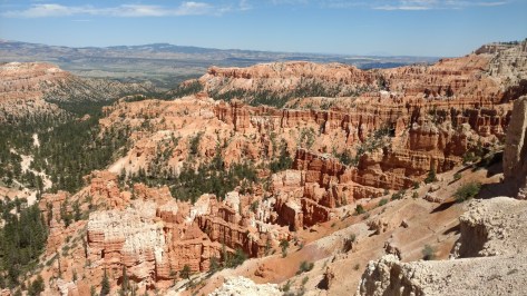 IMG_20160619_151922282