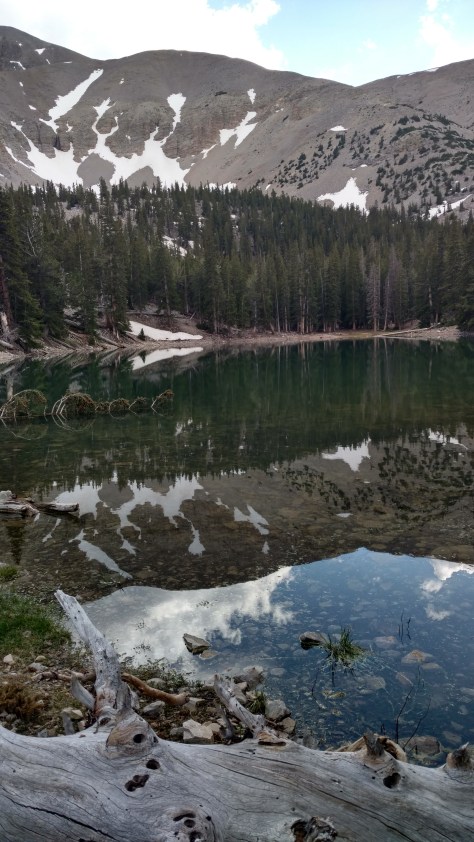 IMG_20160621_171235359_HDR