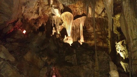 IMG_20160622_100425392