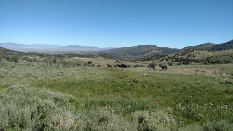 IMG_20160624_101926258