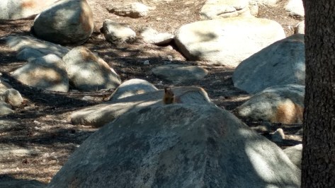 IMG_20160626_163221550_HDR