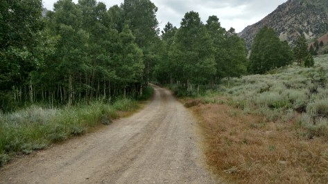 IMG_20160628_161514160_HDR