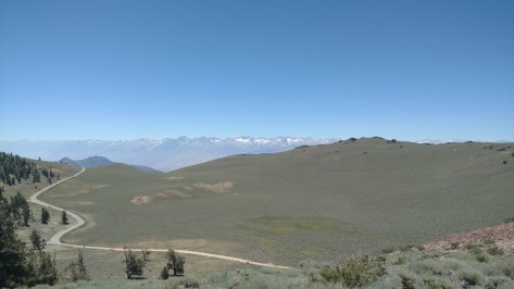 IMG_20160705_120923013