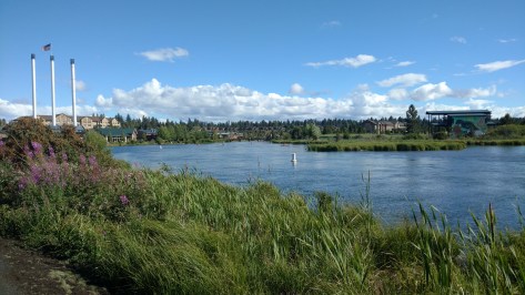 IMG_20160709_170106129