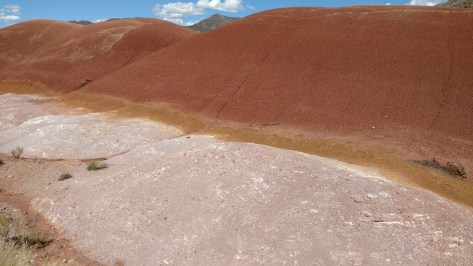 IMG_20160711_152833304