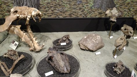 IMG_20160711_164720694