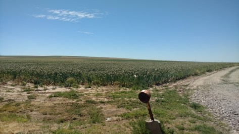 IMG_20160713_142734599