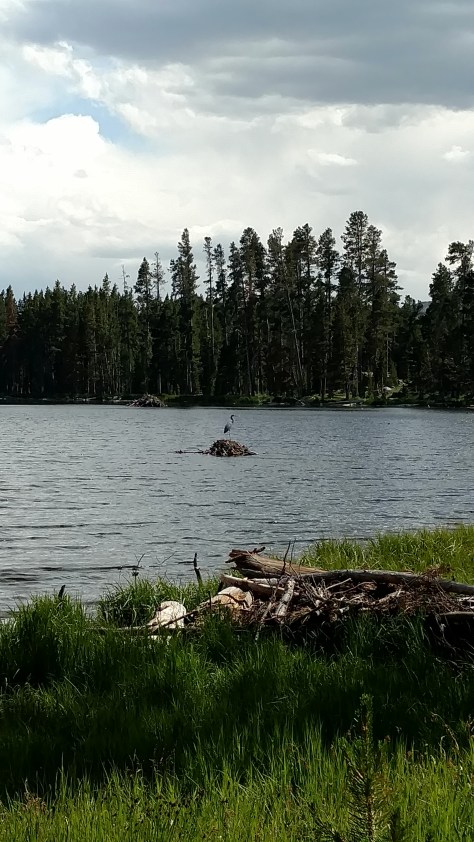 IMG_20160719_160924633