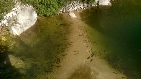 IMG_20160720_095016210_HDR