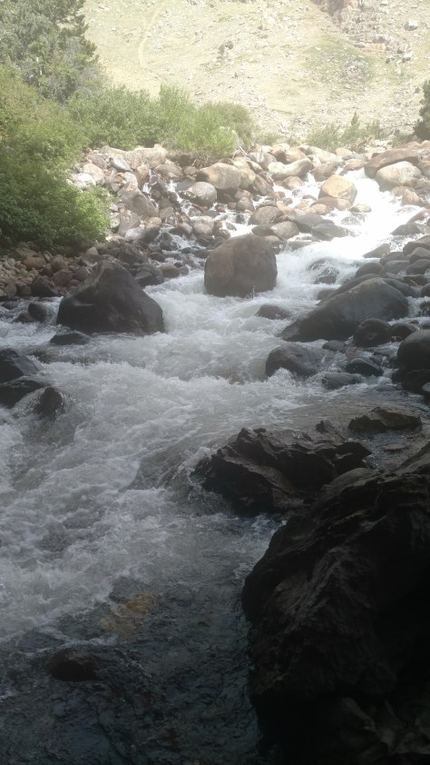 IMG_20160720_101056226