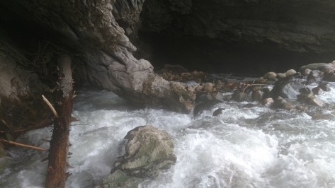 IMG_20160720_101105317