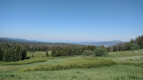 IMG_20160723_101718759