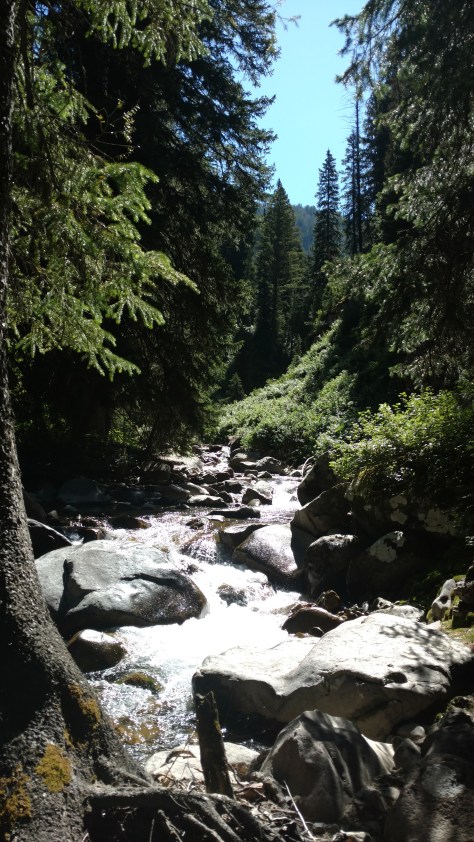 IMG_20160724_105908498