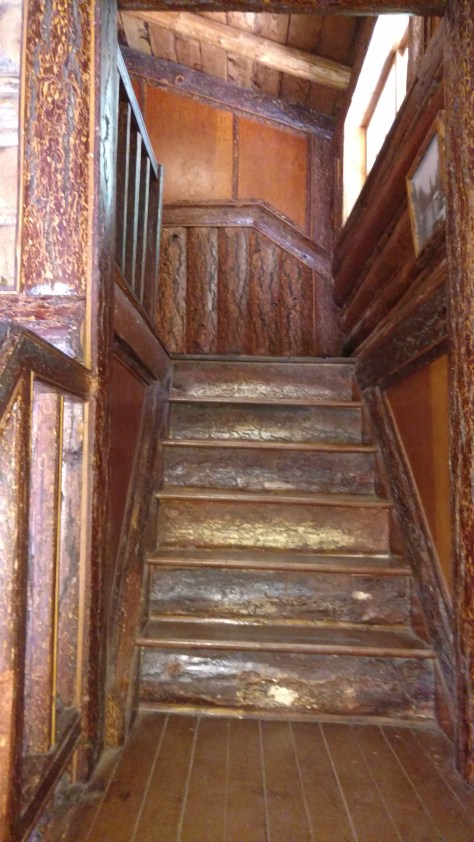 IMG_20160725_153218529