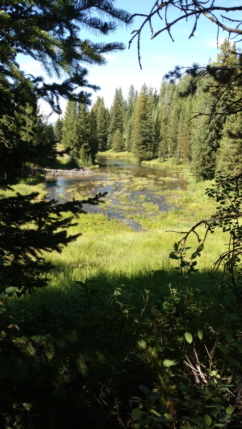 IMG_20160725_155123505