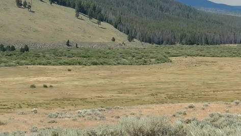 IMG_20160726_152211357