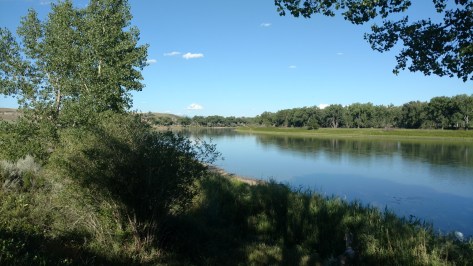 IMG_20160729_182211013