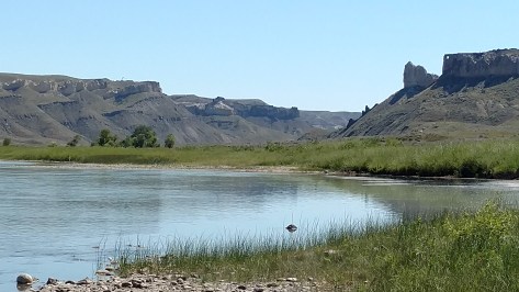 IMG_20160731_120245912_TOP