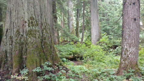 IMG_20160809_113904116