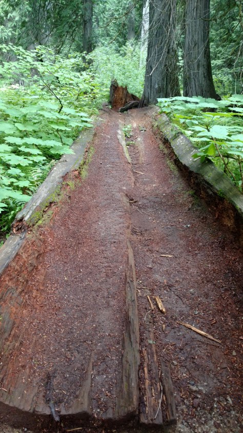 IMG_20160809_114115817