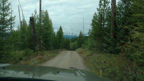 IMG_20160811_092125082