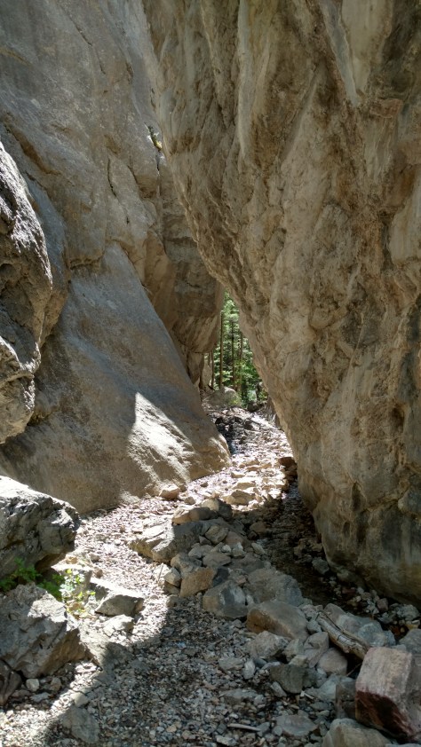 IMG_20160814_160906303_HDR